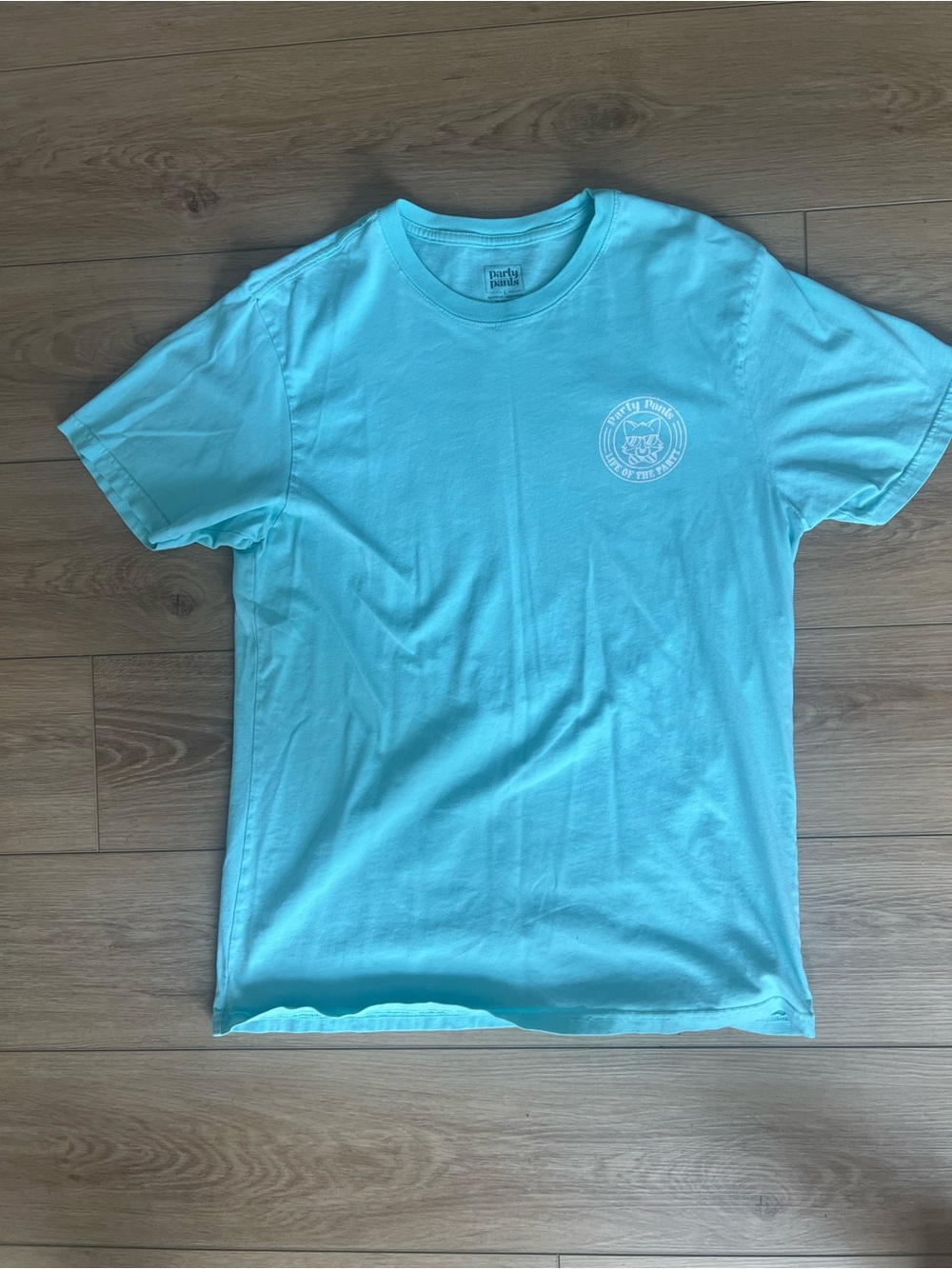 Turquoise Short Sleeve Graphic Crew Neck T-Shirt